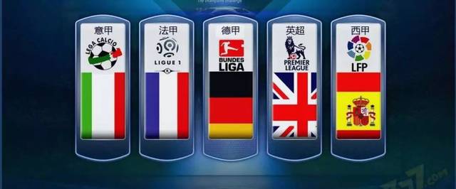 能在激烈的 能在激烈的